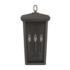 Donnelly 11.5"W x 24"H 3-Light Clear Glass Outdoor Wall Lantern in Oiled Bronze (926232OZ)