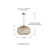 Capital Lighting Rainey 1-Light Pendant (340811GK)