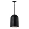 Capital Lighting Dolby 1-Light Pendant (351612BI)