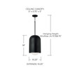 Capital Lighting Dolby 1-Light Pendant (351612BI)