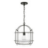Harmon 14" W x 15" H 1-Light Pendant in Matte Black with Clear Seeded Glass and Outer Cage   (342912MB)