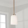 Capital Lighting Lawson 1-Light Pendant (348812AD-542)