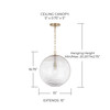 Capital Lighting Dolan 1-Light Pendant (349911MA)