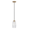 Casper 5" W x 10.5" H 1-Light Pendant in Aged Brass with Clear Embossed Glass Shade and Black Cord  (328611AD-450)