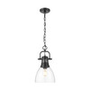 Duncan Small Pendant with Chain in Matte Black with Clear Glass (3602-S BLK-CLR)