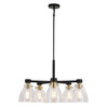 Elgin 27-in. 5 Light Chandelier Black and Gold (H0307)