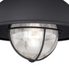 Harwich 10-in Outdoor Flush Mount Ceiling Light Textured Black (T0142)