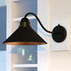 Outland 12-in Long Arm Outdoor Wall Light Aged Iron and Light Gold (T0351)