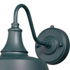 Dorado 9-in Outdoor Wall Light Hunter Green and White (T0482)