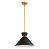 Racine 15-in 1 Light Pendant Matte Black and Natural Brass (P0398)
