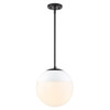 1 Light Pendant with Rod (3218-L BLK-WHT)
