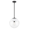 1 Light Pendant with Rod (3219-L BLK-WHT)