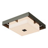 Hubbardton Forge Shadow Box Small Outdoor Flush Mount (363100)