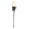 Hubbardton Forge Antasia Single Glass 1 Light Sconce (204710)