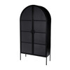 Butler Specialty Company Worthington 77 in. H Iron and Glass Accent 2 Door Storage Cabinet, Black (5865330)