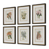 Uttermost Orchid Botanical Framed Prints Set of 6 (32447)