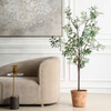Olea Potted Olive Tree (60241)