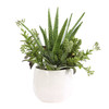 Uttermost Sundown Succulent Accent Planter (60244)