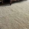 Uttermost Caramont Ivory 6 X 9 Rug (73096-6)