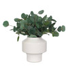 Uttermost Essence Eucalyptus Accent & Vase (60257)