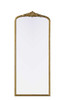 Elegant Furniture and Lighting Naomi Vintage Resin Mirror 30X72 In Antique Brass (MR7F3072AB)