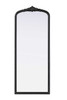 Elegant Furniture and Lighting Naomi Vintage Resin Mirror 24X60 In Vintage Bronze (MR7F2460VB)