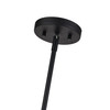 Acordia 5 Light Black Pendant Chandelier (60245-04)