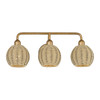 Summervine 3 Light Antique Gold Leaf Vanity Sconce (13683-48)