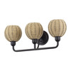 Summervine 3 Light Bronze Vanity Sconce (13683-07)