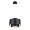 Zolana 1 Light Black Pendant (40059-04)