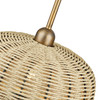 Summervine 1 Light Antique Gold Leaf Pendant (60203-48)