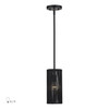 Acordia 1 Light Black Mini Pendant (60241-04)