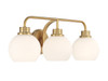 Savoy House 3-Light Bathroom Vanity Light in Natural Brass (M80081NB)