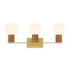 Savoy House Jarrell 3-Light Bathroom Vanity Light in Warm Brass (8-4081-3-322)