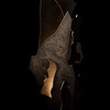 Hubbardton Forge Fracture Lamp (241205)