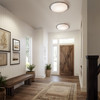 Hubbardton Forge Nova Large LED Flush Mount (122112)