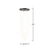 Artcraft Lighting Cascata Collection 5-Light Chandelier Black and Brushed Brass (AC6812BK)