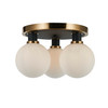 Artcraft Lighting Gem Collection 3-Light Semi-Flush Mount Black and Brushed Brass (AC11873WH)