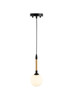 Artcraft Lighting Capilano Collection 1-Light Pendant Black (AC11841BK)