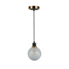 Artcraft Lighting Gem Collection 1-Light Pendant Black and Brushed Brass (AC11870SW)