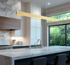 Z-Lite Hudson 1 Light Linear Chandelier in Gold (1016-72L-GLD-LED)