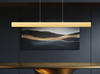 Z-Lite Hudson 1 Light Linear Chandelier in Gold (1016-55L-GLD-LED)
