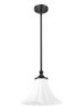 Z-Lite Fleur 1 Light Pendant in Matte Black (1958P12-MB)