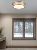 Z-Lite Bentley 1 Light Flush Mount in Modern Gold (7702F16-MGLD-LED)