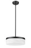 Z-Lite Renaud 1 Light Pendant in Matte Black (827P13-MB-LED)