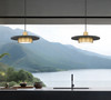 Z-Lite Ludo 1 Light Pendant in Matte Black + Modern Gold (829P16-MB-MGLD-LED)