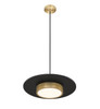 Z-Lite Ludo 1 Light Pendant in Matte Black + Modern Gold (829P20-MB-MGLD-LED)