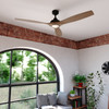 Vaxcel Niles 60-in. LED Ceiling Fan Black (F0141)