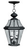 Georgetown 2 Light Black Outdoor Pendant Lantern (2265-04)