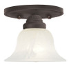 Edgemont 1 Light Bronze Ceiling Mount (1530-07)